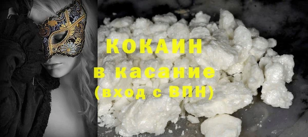 прущие грибы Волосово