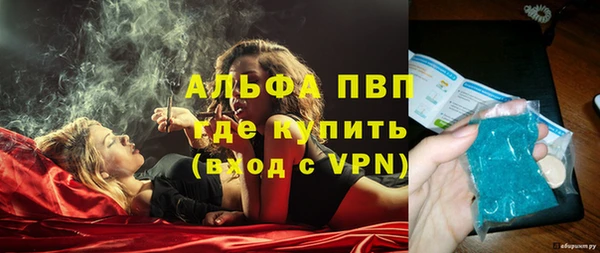 хмурый Верея