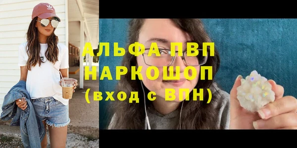 хмурый Верея