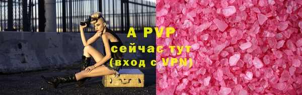 хмурый Верея