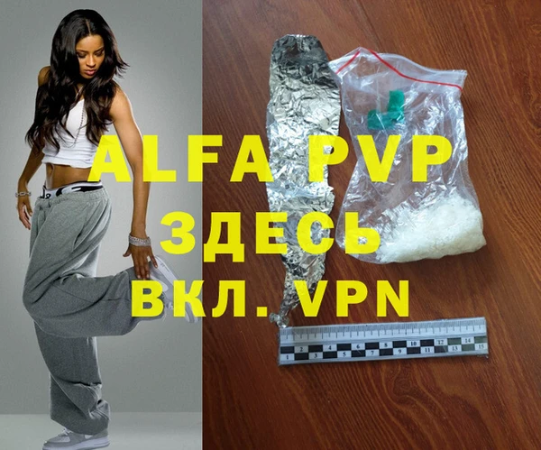 хмурый Верея