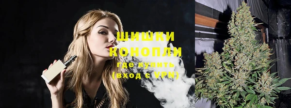 хмурый Верея